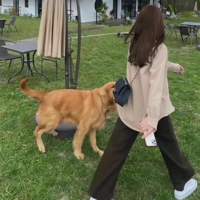 丫鬟不好惹